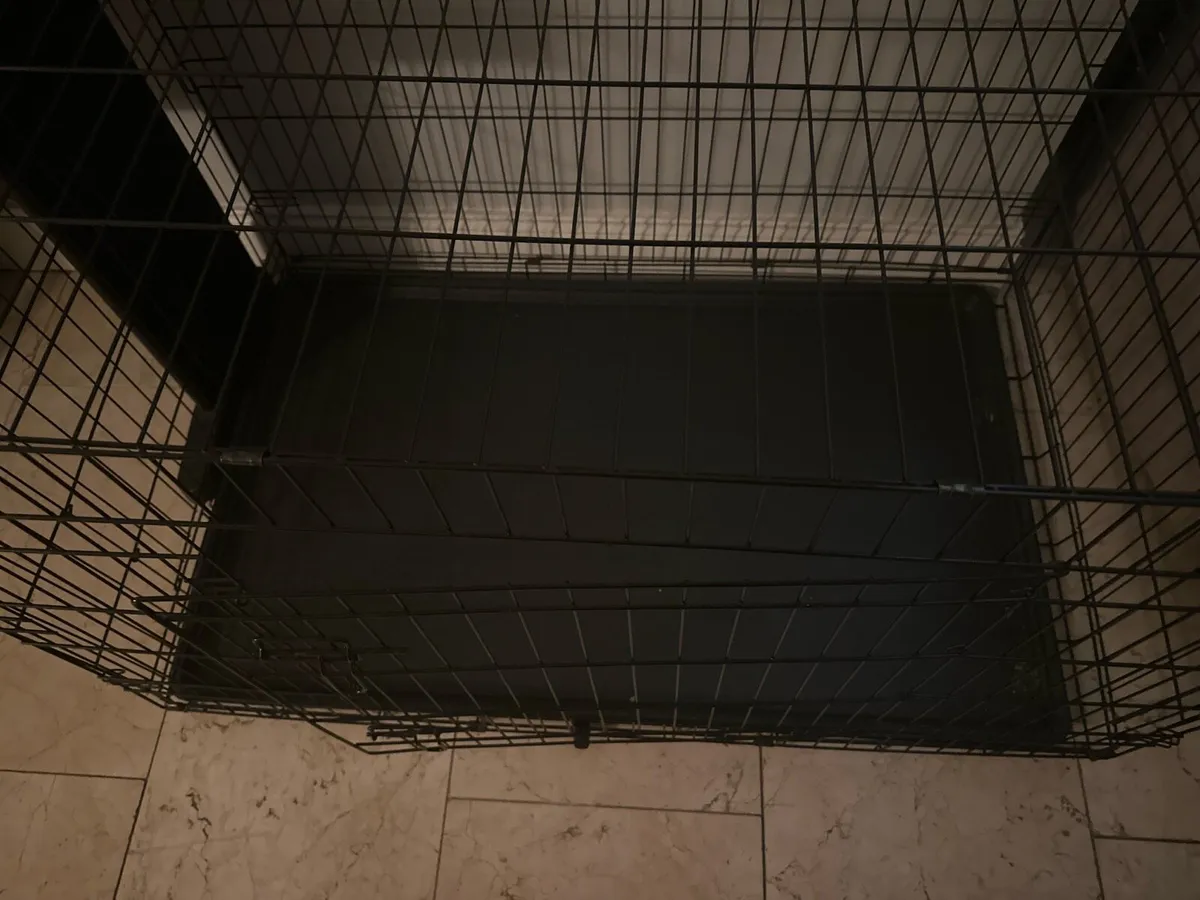 Dog crate - Image 2