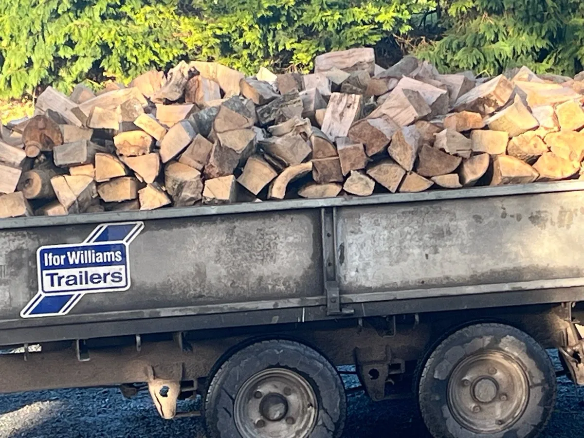 Firewood For Sale - Image 2