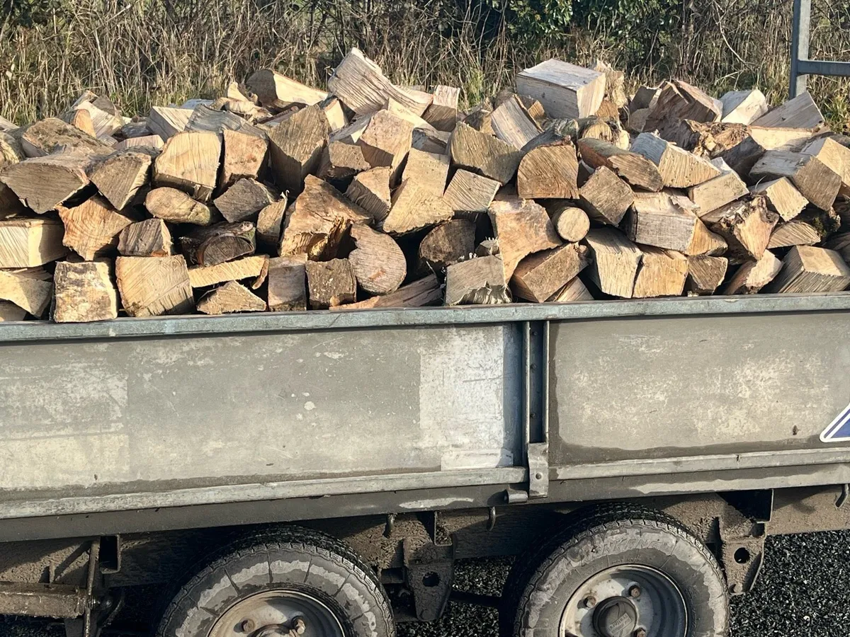 Firewood For Sale - Image 3