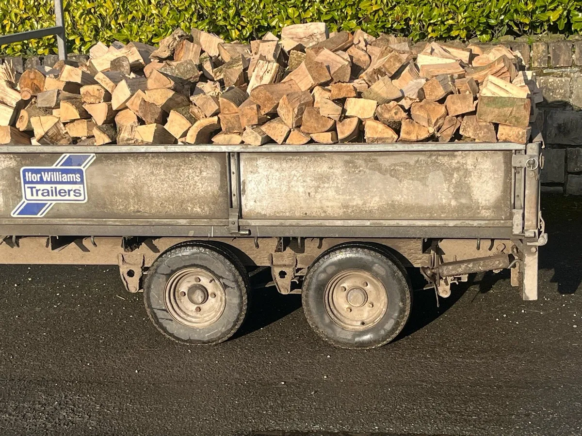 Firewood For Sale - Image 4