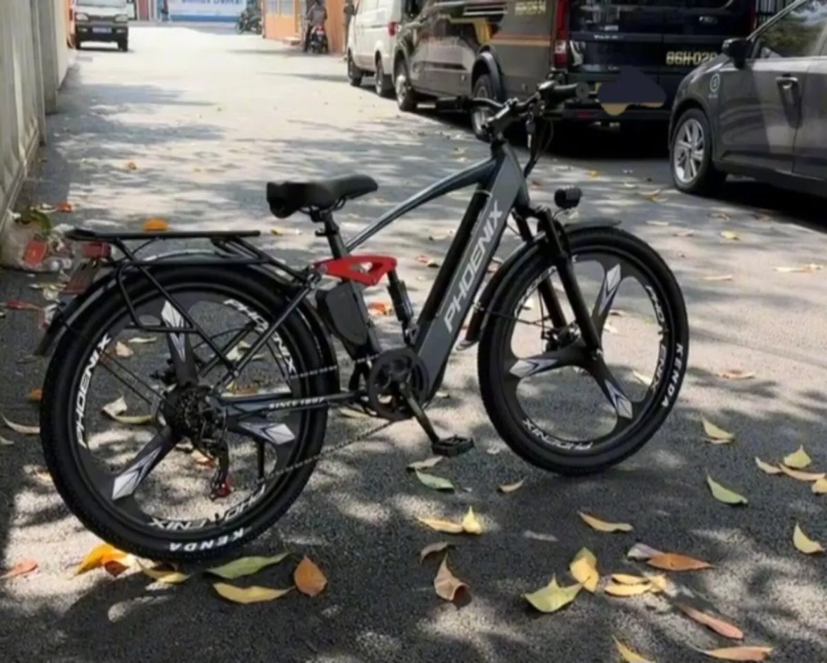 ADULTS PHOENIX ELECTRICAL BIKE WORKS BY THROTTLE - Image 4