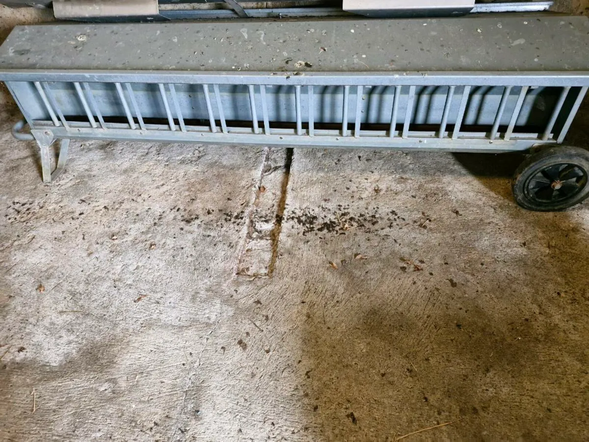 Sheep feeder - Image 3