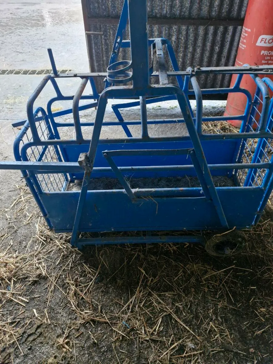 Sheep feeder - Image 4