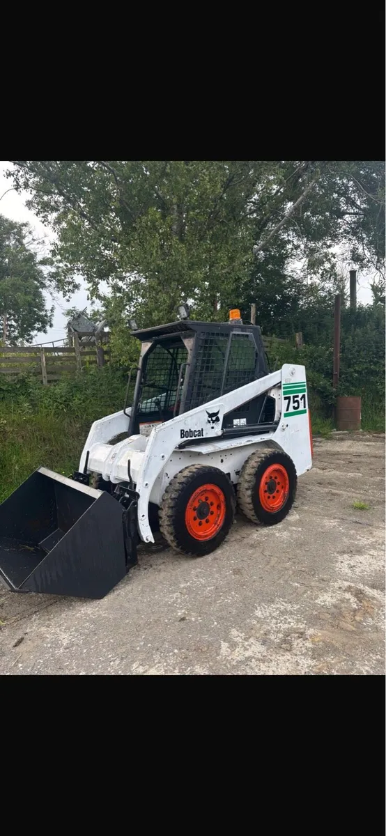 Bobcat Skidsteer - Image 2