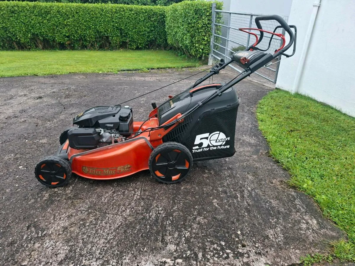 Lawnmower electric start - Image 3