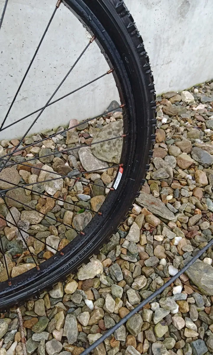 20 inch Girls red bike - Image 4