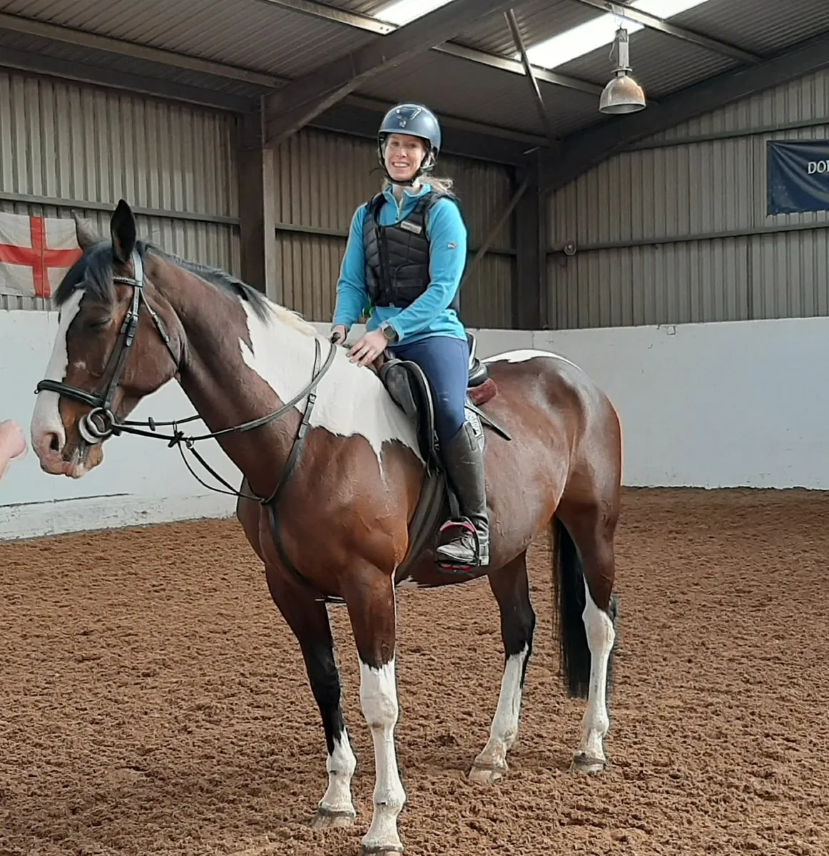 Horse Irish Skewbald 16.3hh - Image 1