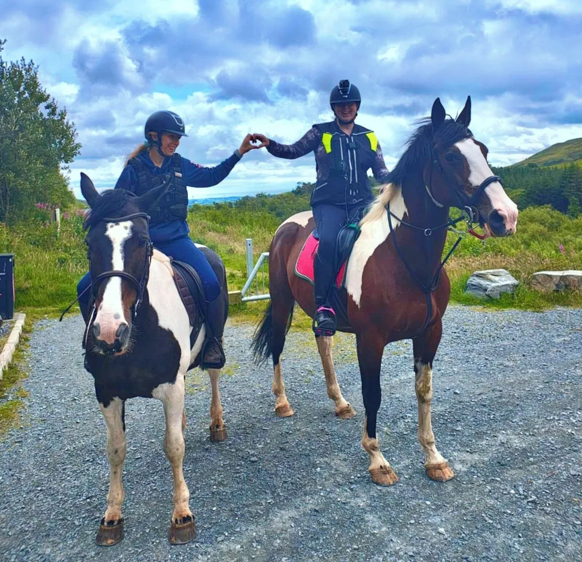 Horse Irish Skewbald 16.3hh - Image 4