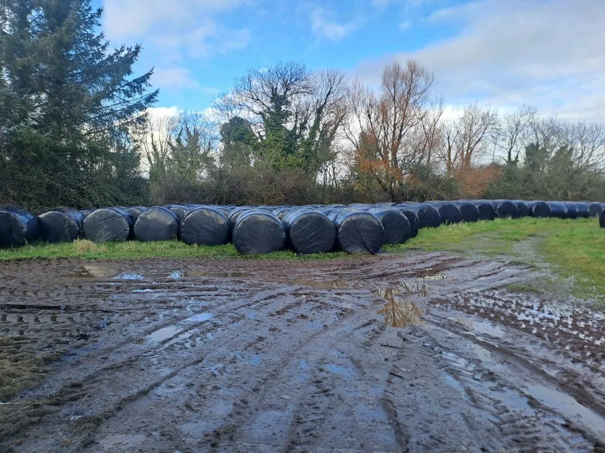 Silage for sale - Image 1