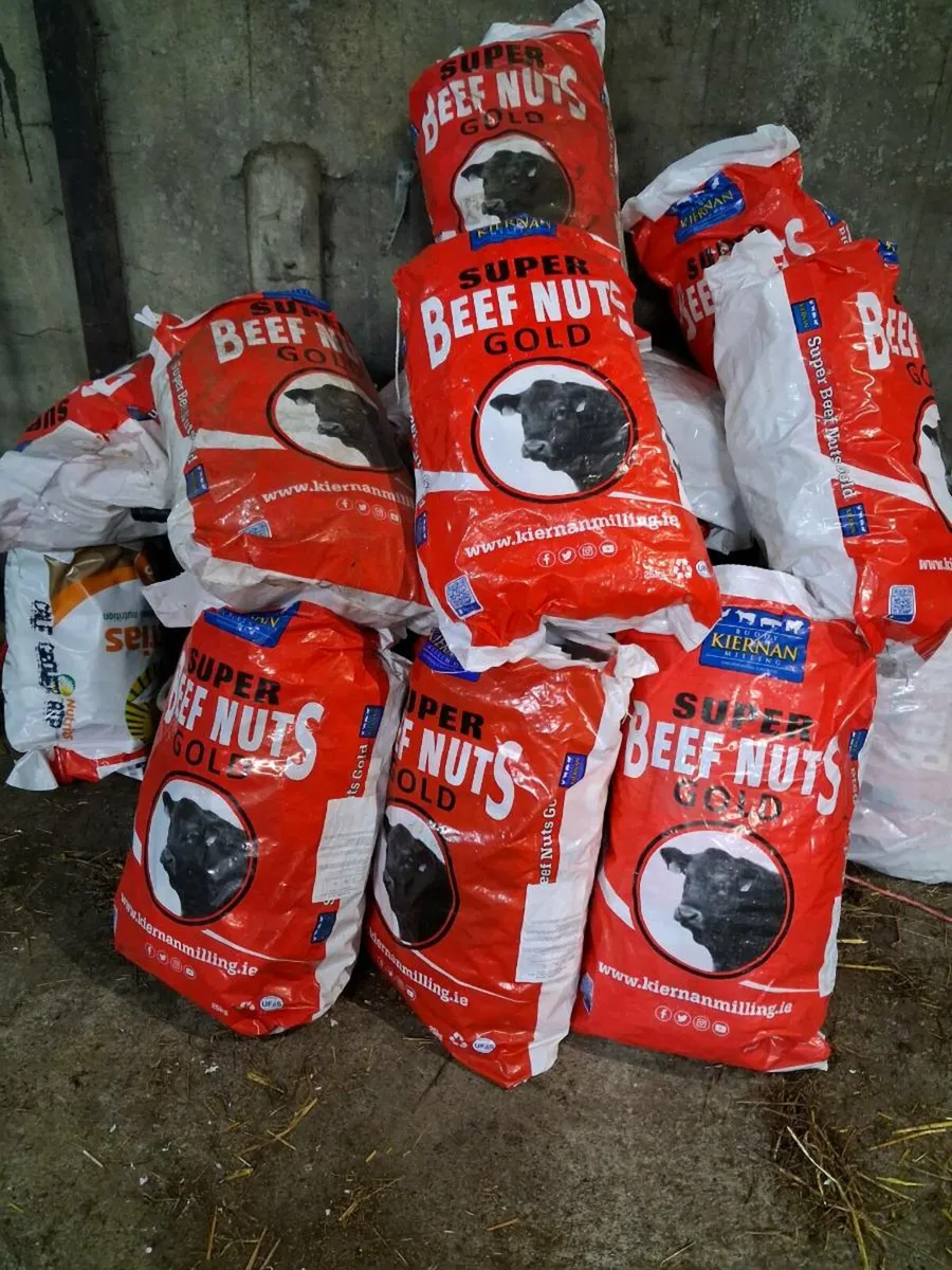 Meal bags. Sink and counter top - Image 1