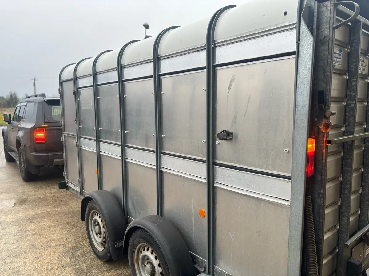 Ifor Williams 12x5 Livestock Trailer As New - Image 4