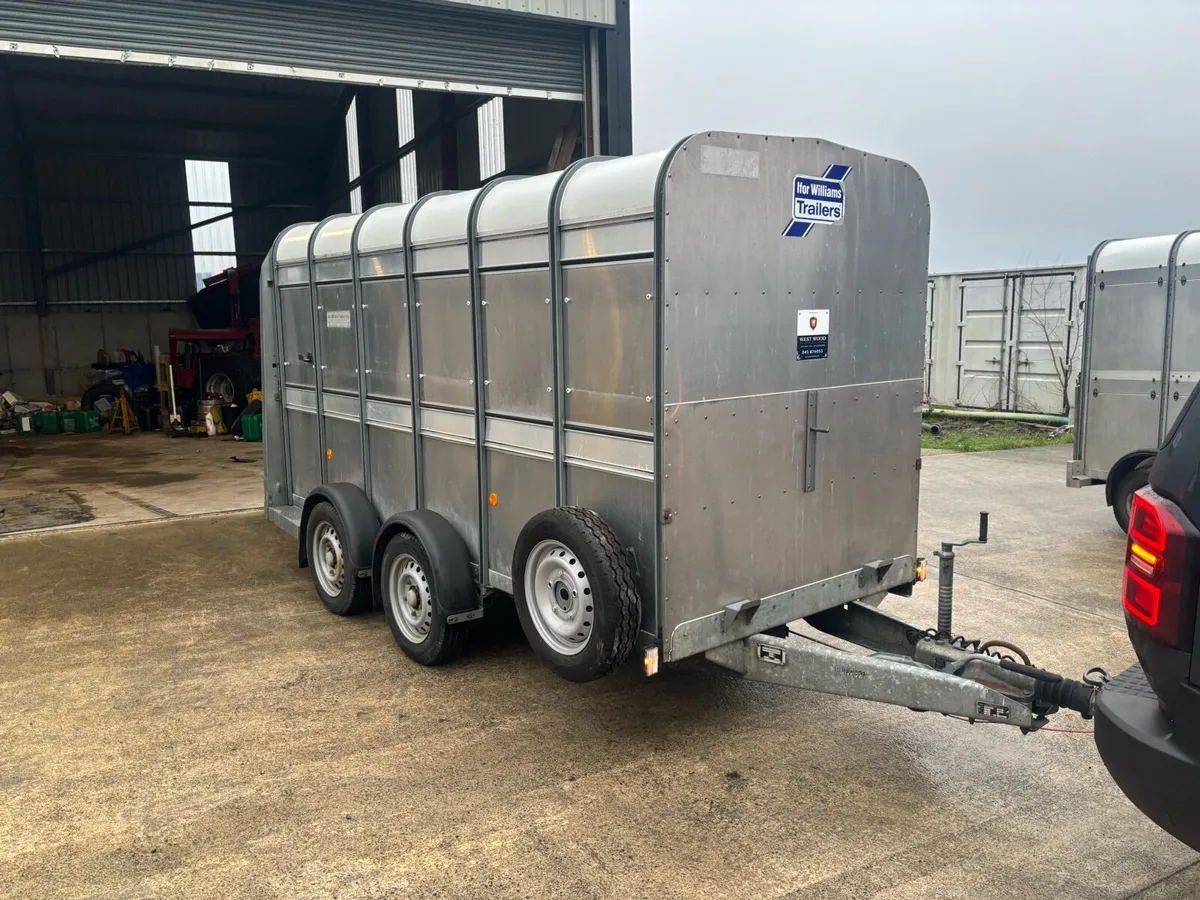 Ifor Williams 12x5 Livestock Trailer As New - Image 1