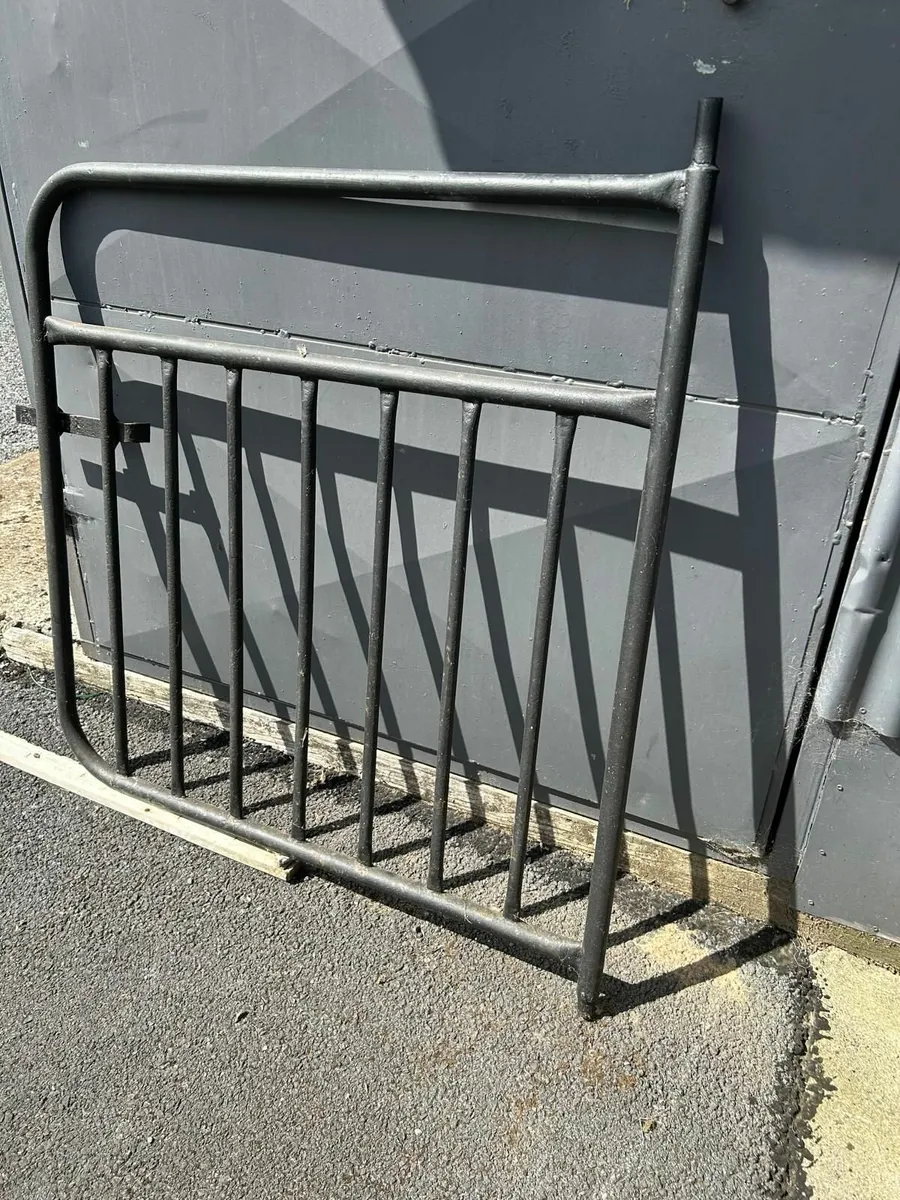 Steel Garden Gate - Image 1