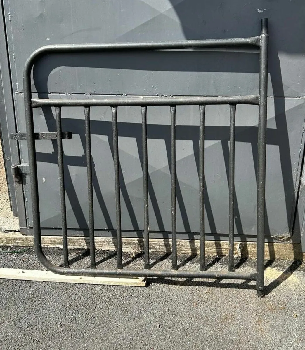 Steel Garden Gate - Image 2