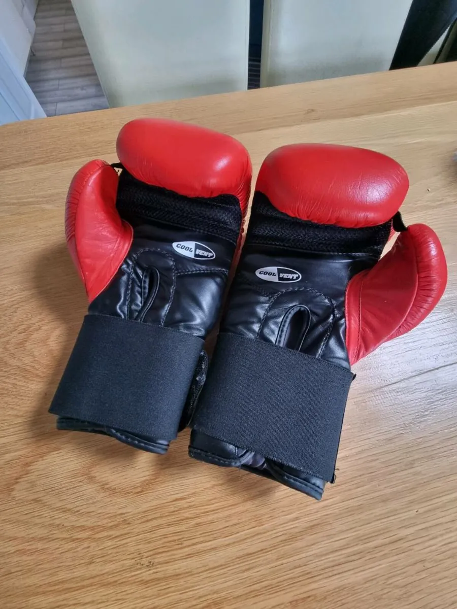 Boxing gloves - Image 3