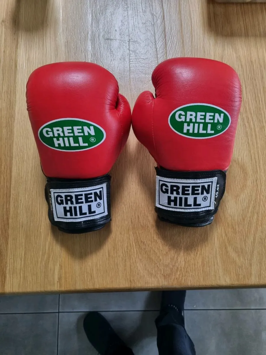 Boxing gloves - Image 1