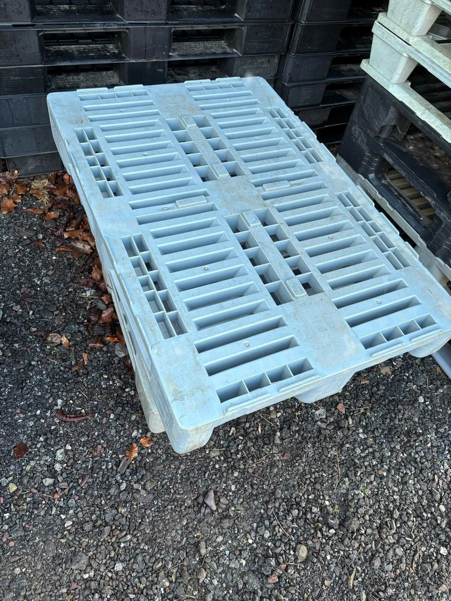 Plastic pallets - Image 1