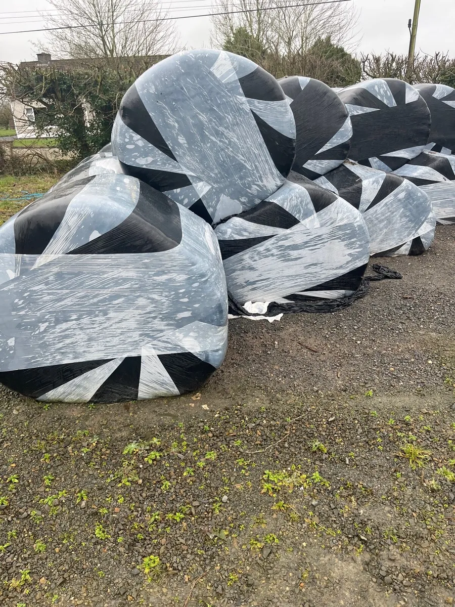 Silage - Image 1