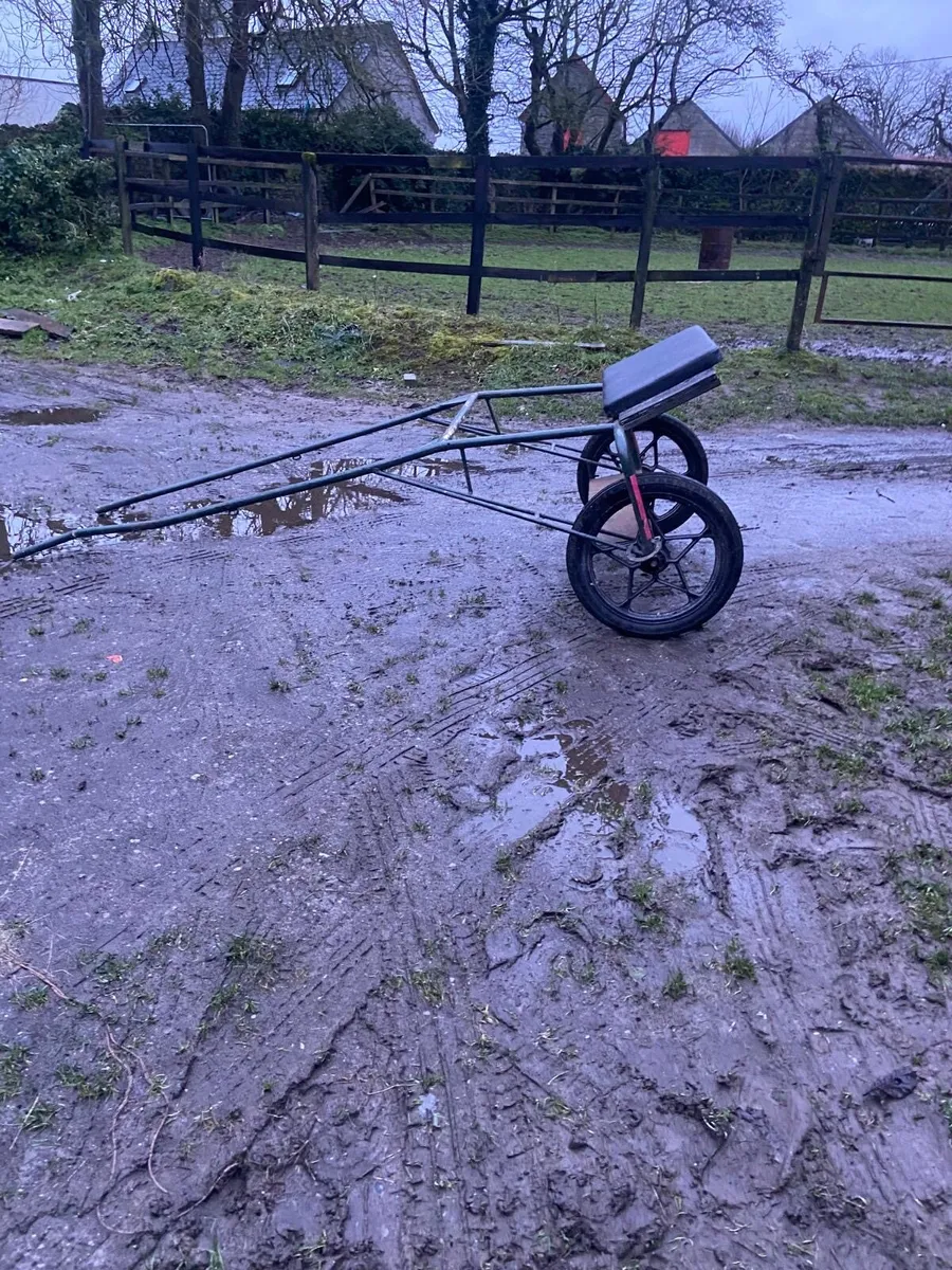 Jogging cart - Image 1