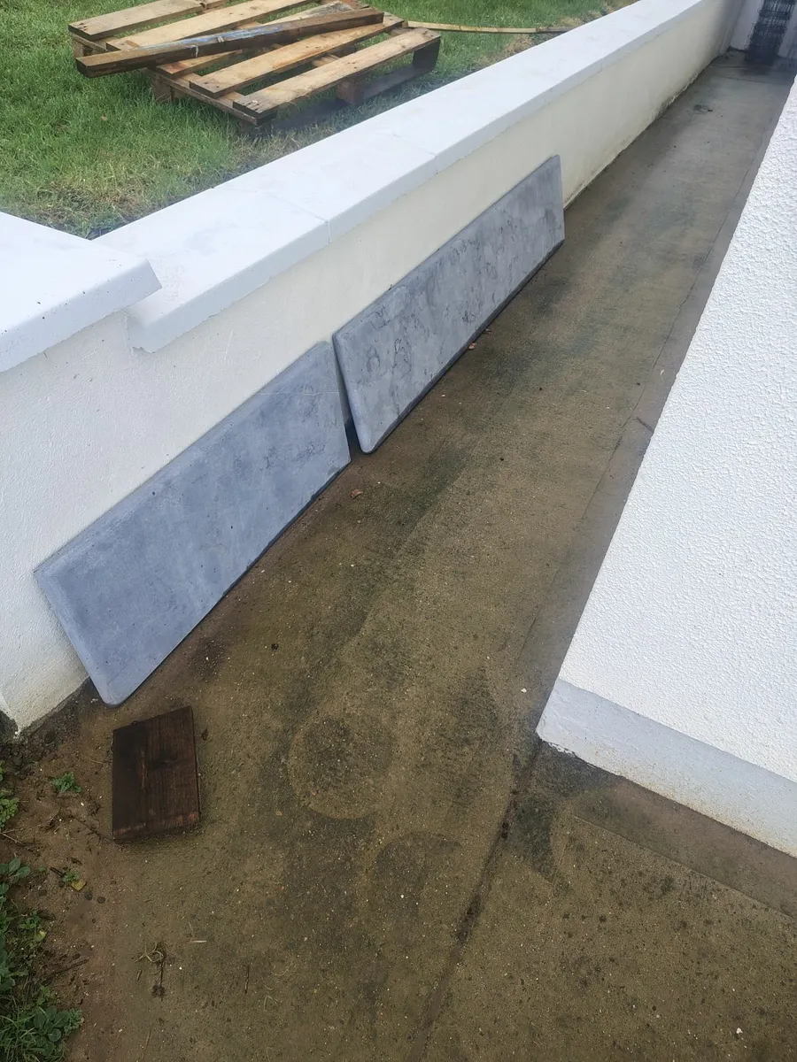 Limestone step - Image 1