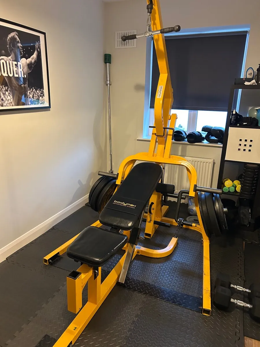 Leverage Gym (BodyMax, PowerTech) - Image 1