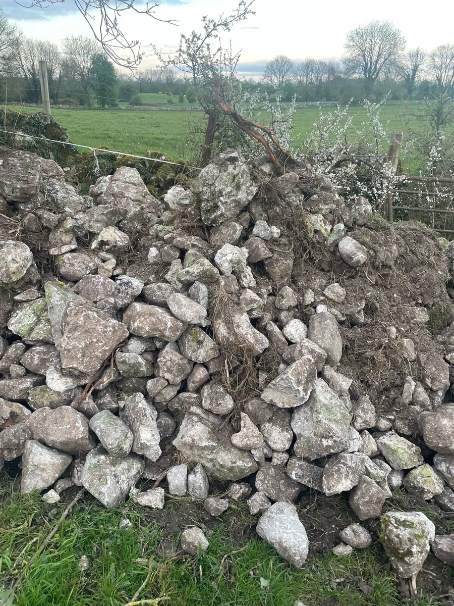 Field Stone - Image 2