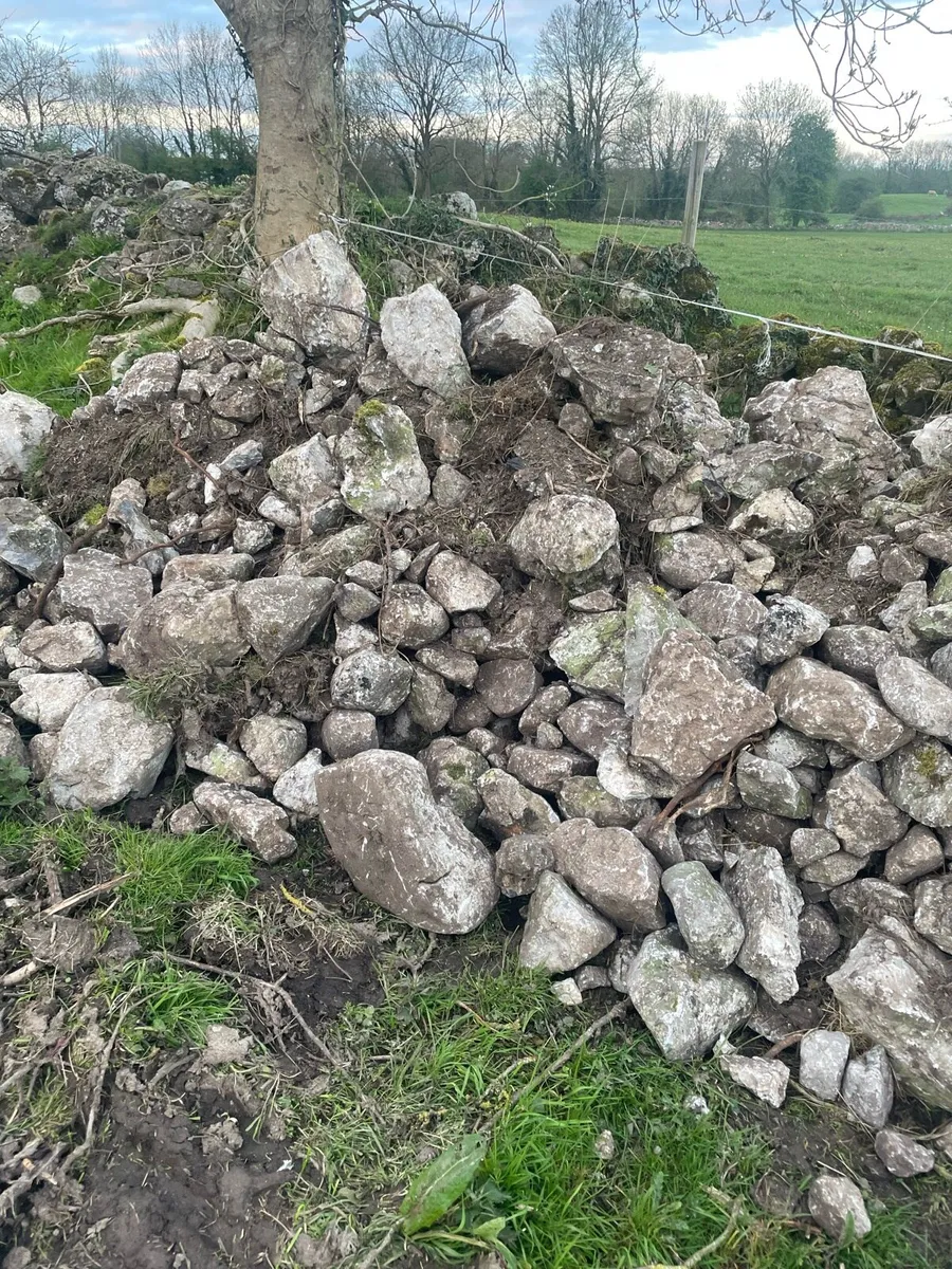 Field Stone - Image 3