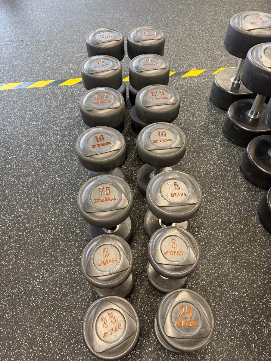 Dumbbells and 20kg plates - Image 2