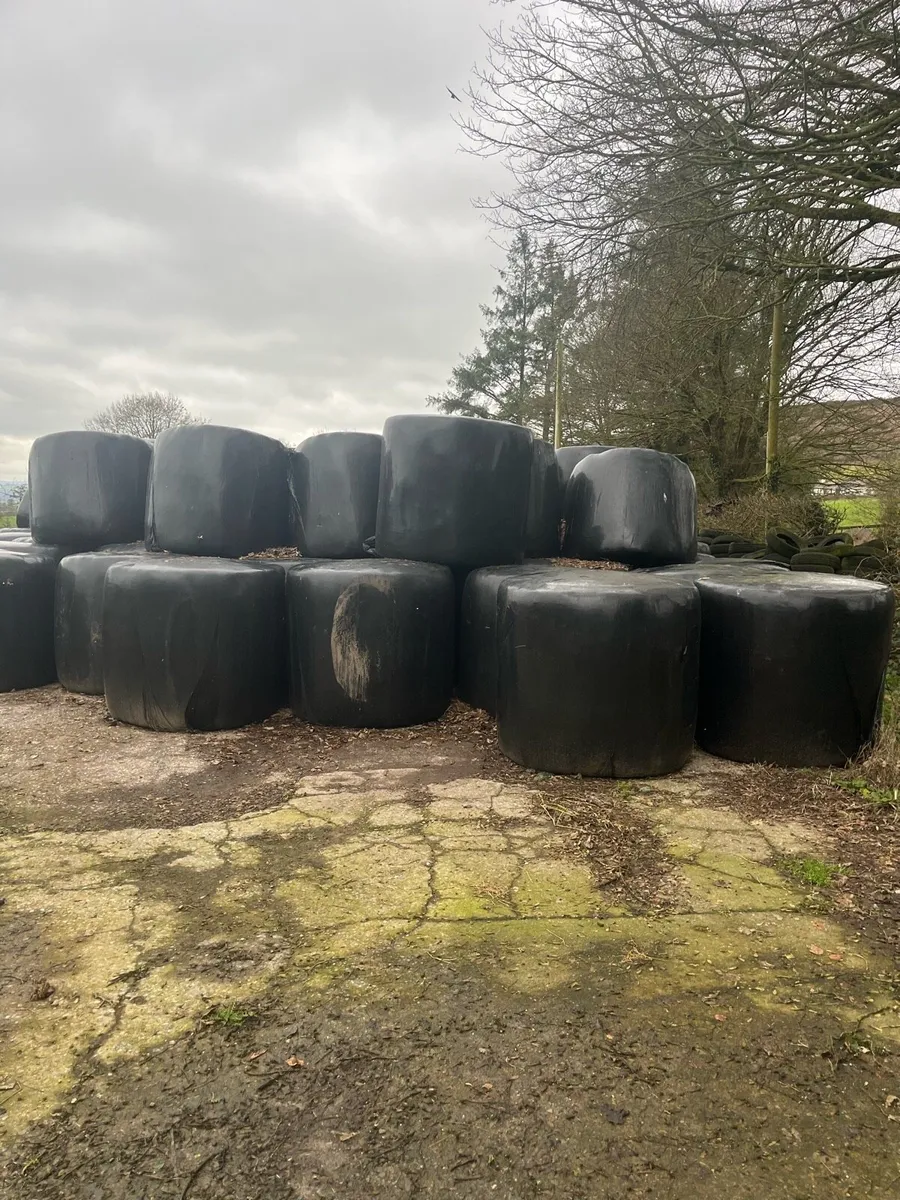 Silage Bales
