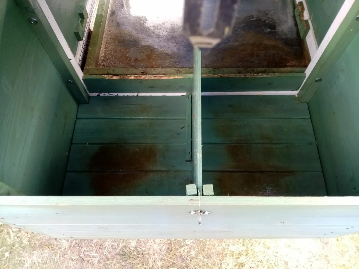 Guinea Pig Hutch and large run - Image 2