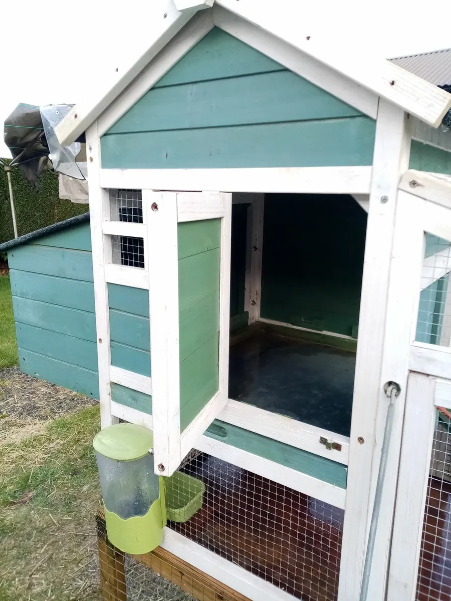 Guinea Pig Hutch and large run - Image 3