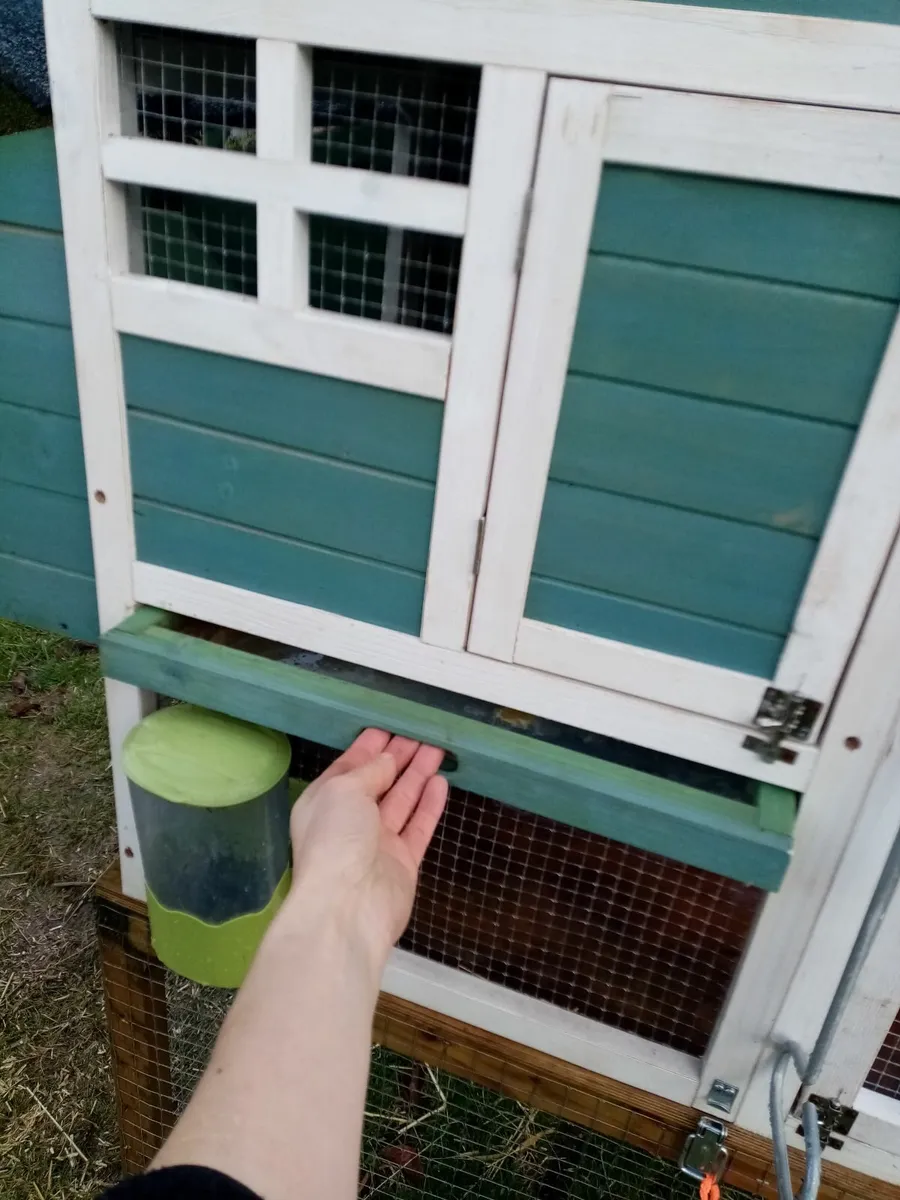 Guinea Pig Hutch and large run - Image 4