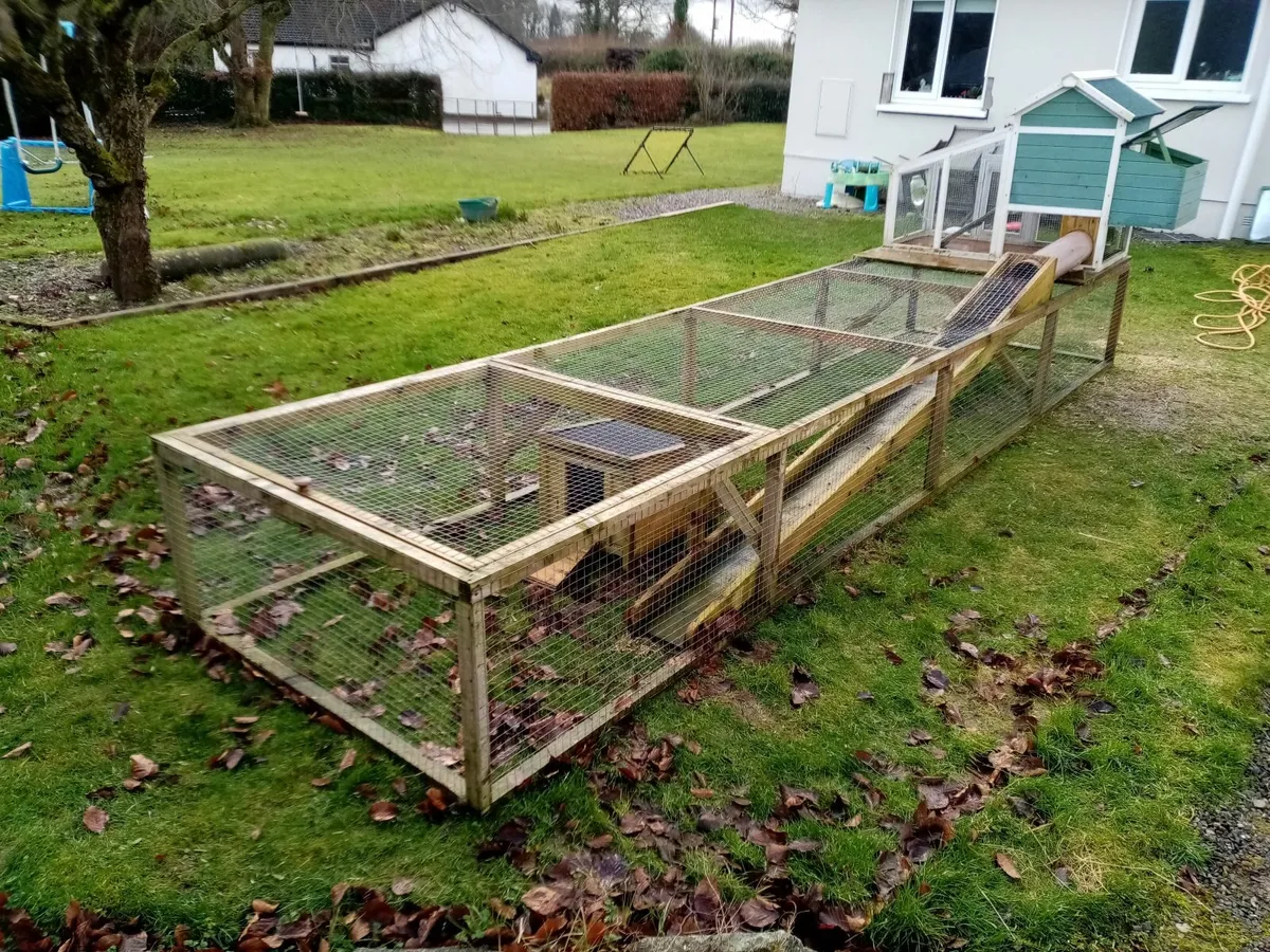 Guinea Pig Hutch and large run - Image 1