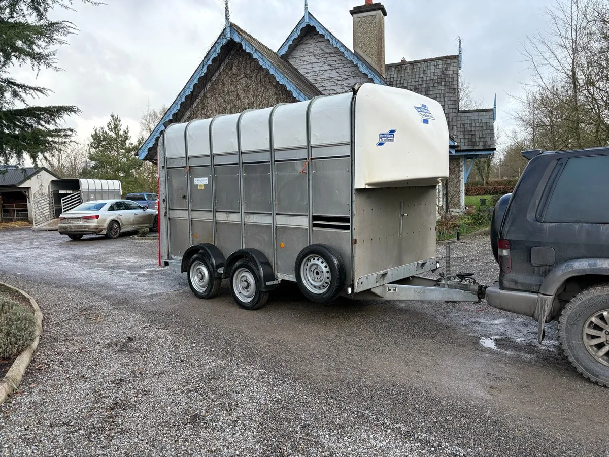 Immaculate ifor Williams highroof - Image 2
