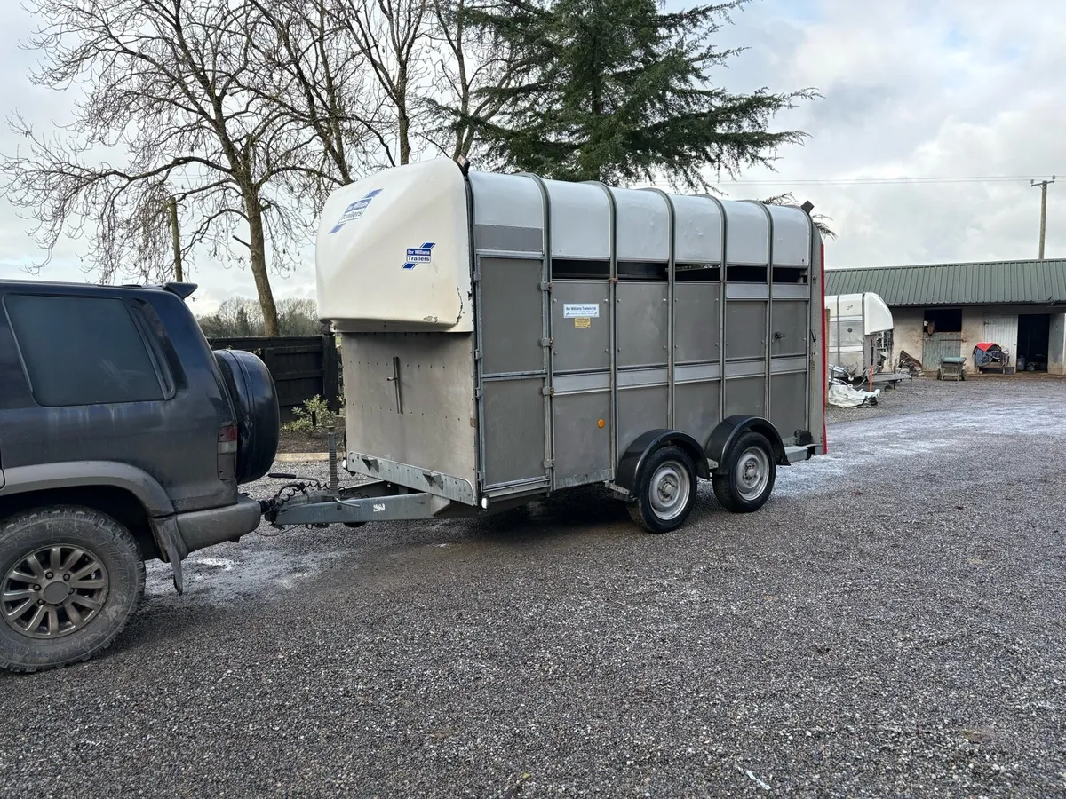 Immaculate ifor Williams highroof - Image 3