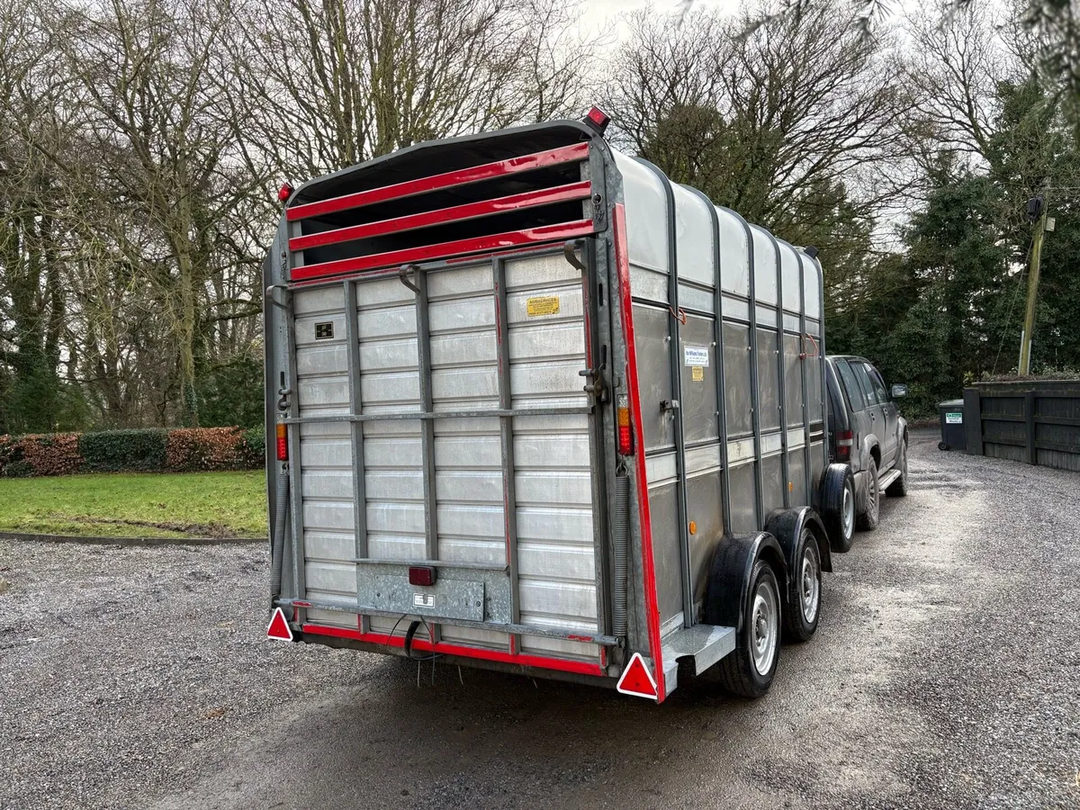 Immaculate ifor Williams highroof - Image 4