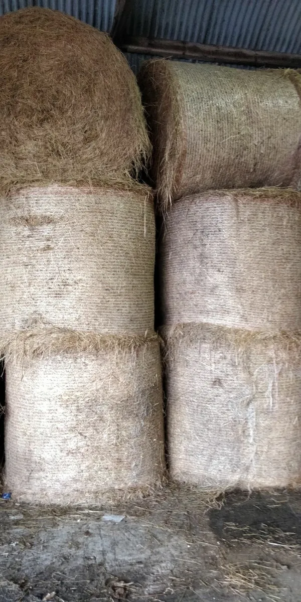 HAY.  Organic Certified. - Image 2