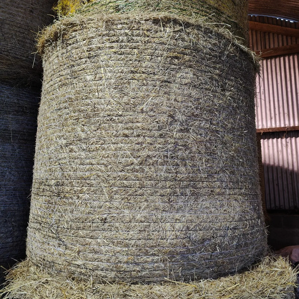 HAY.  Organic Certified. - Image 3