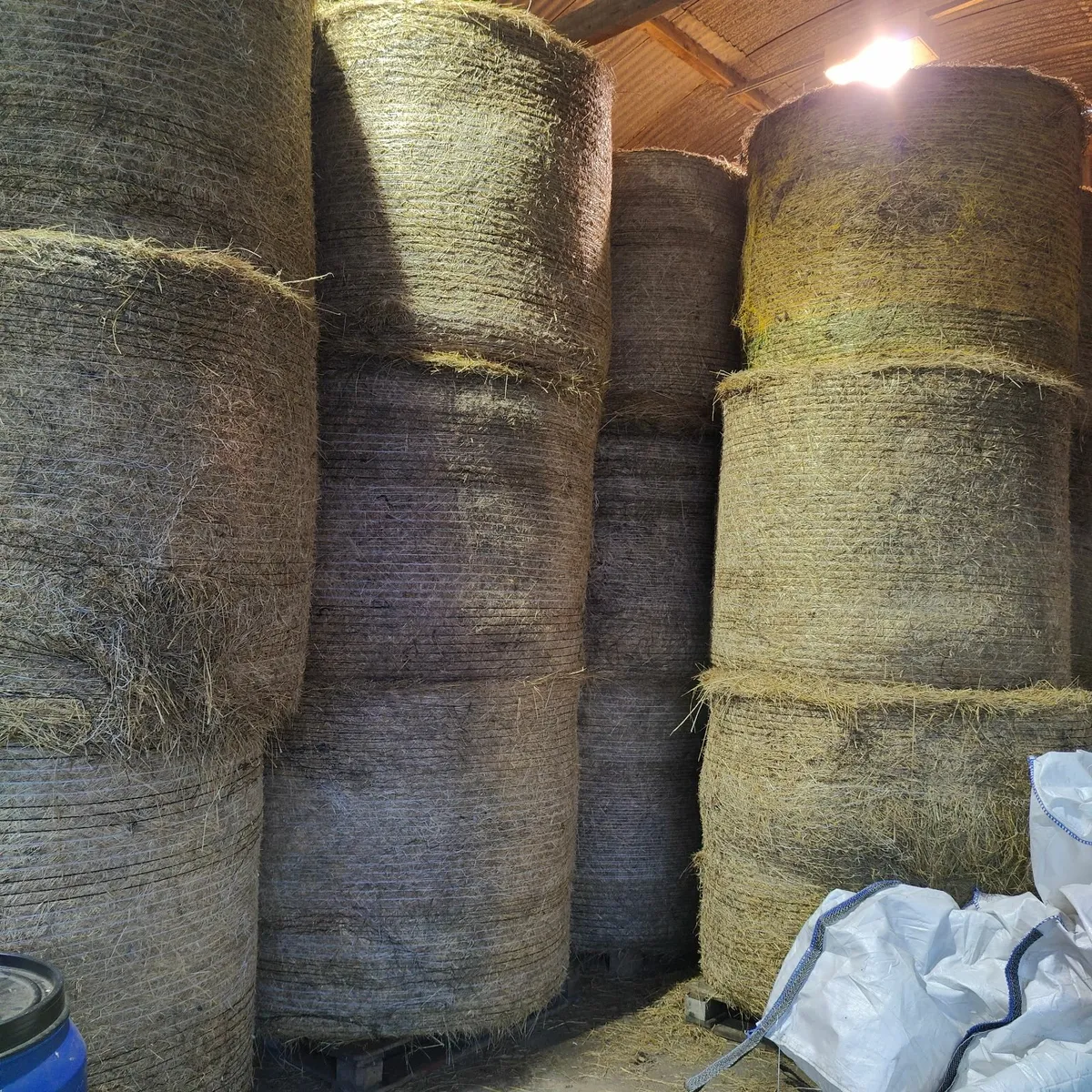 HAY.  Organic Certified. - Image 4