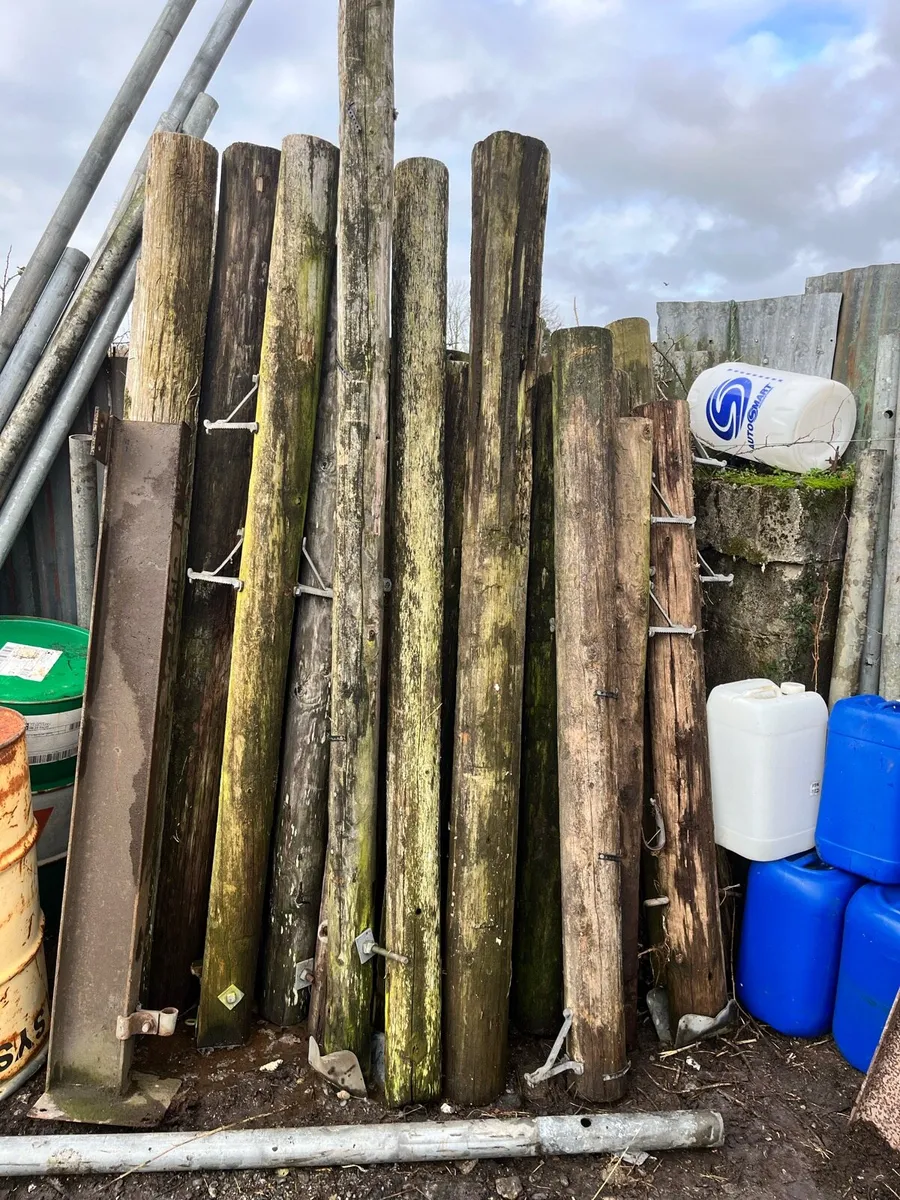 Fencing posts - Image 2