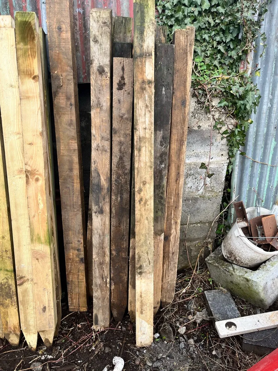 Fencing posts - Image 3