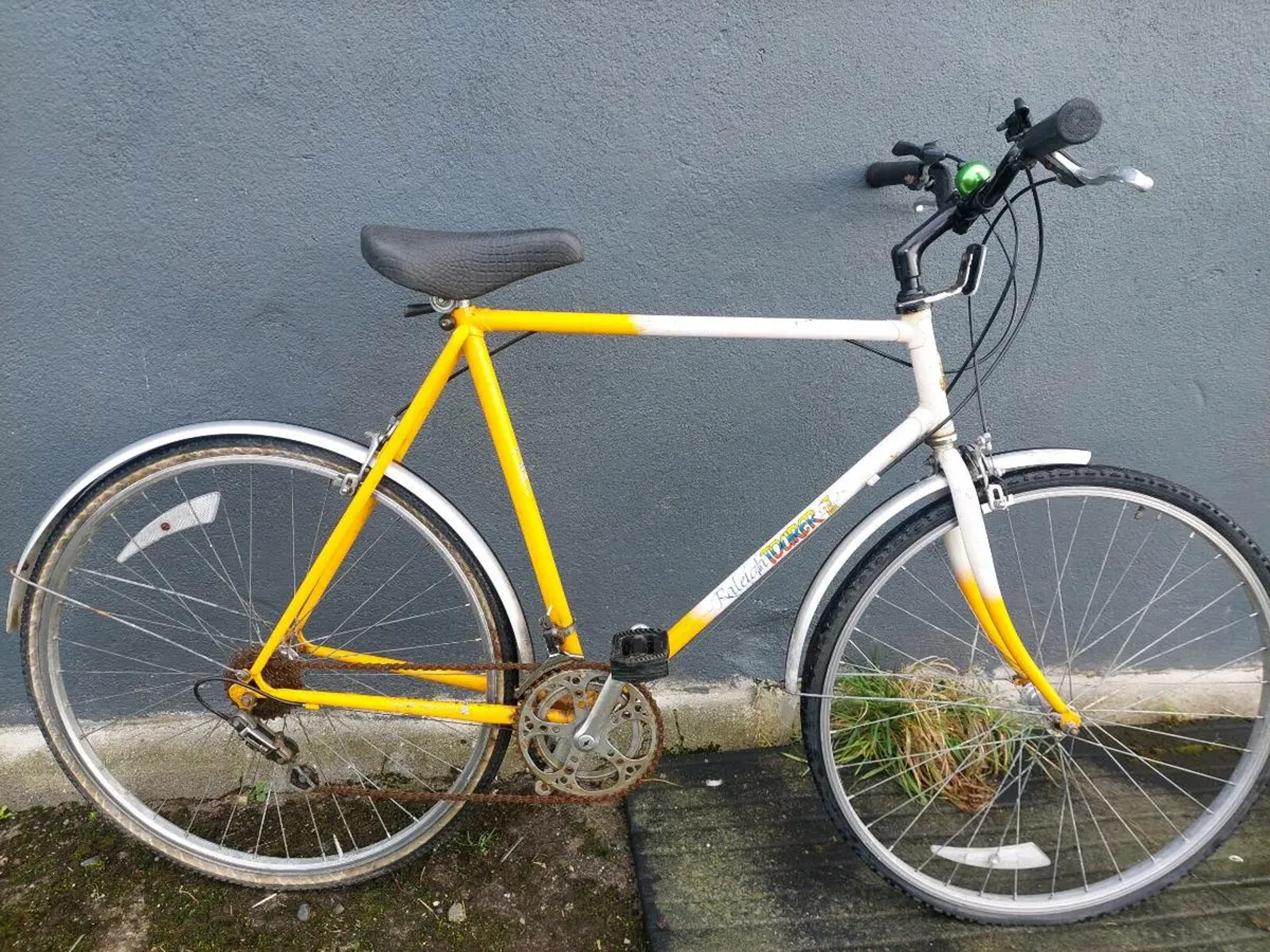 Raleigh large 10 speed