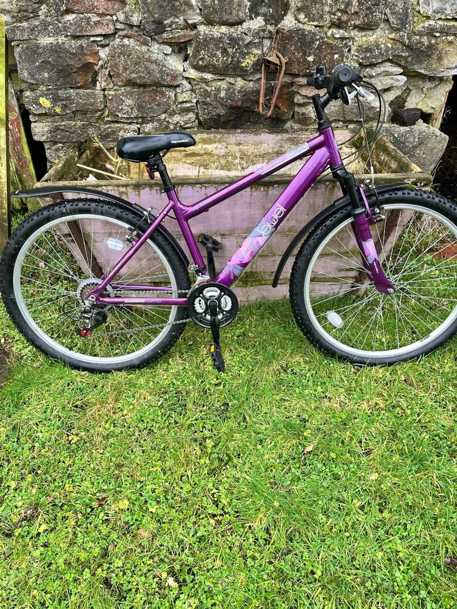 2 women’s bicycles - Image 3