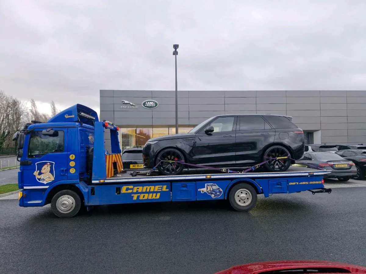 Recovery speed dollies - Image 4