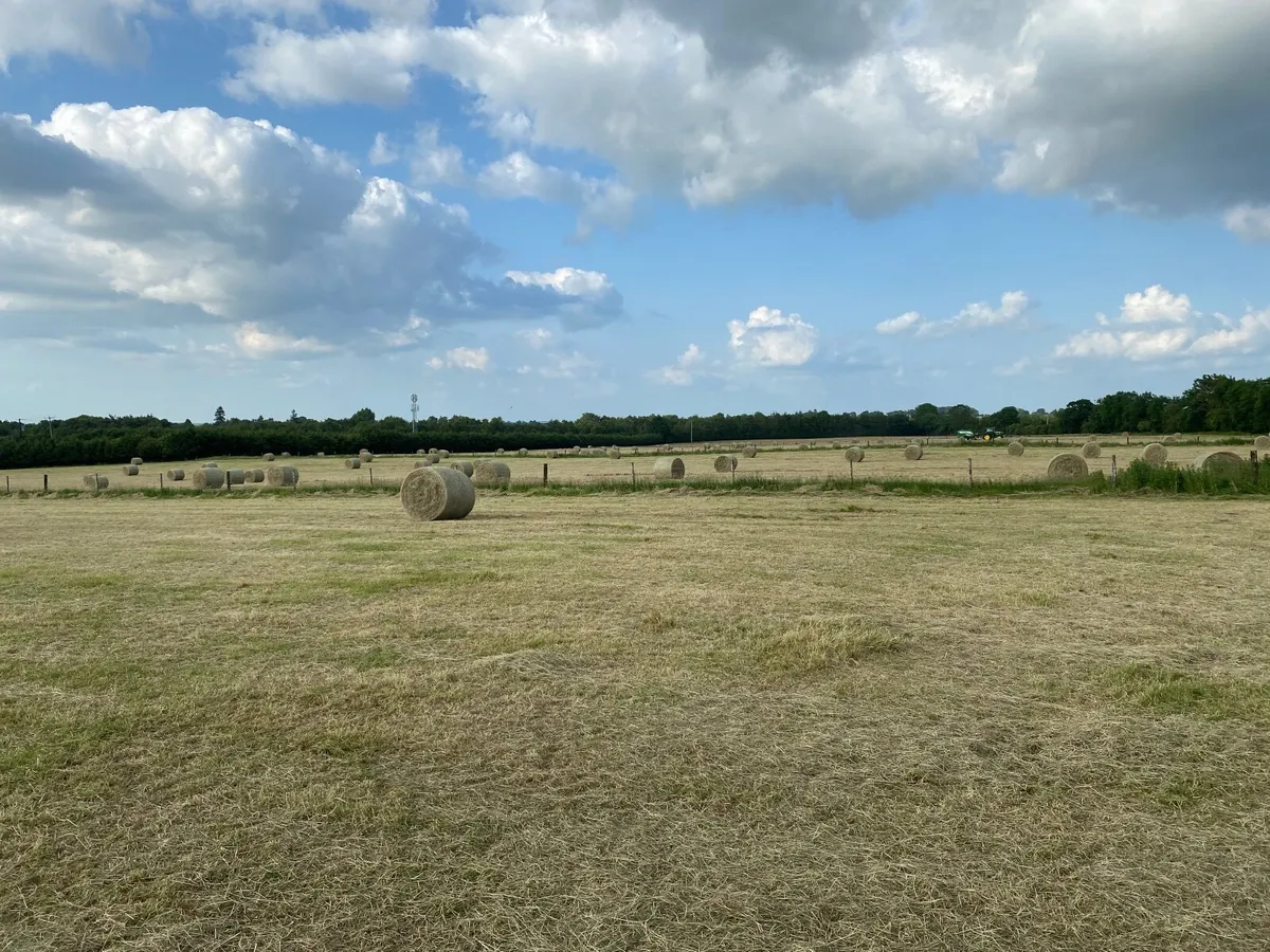 4x4 bales hay - Image 1