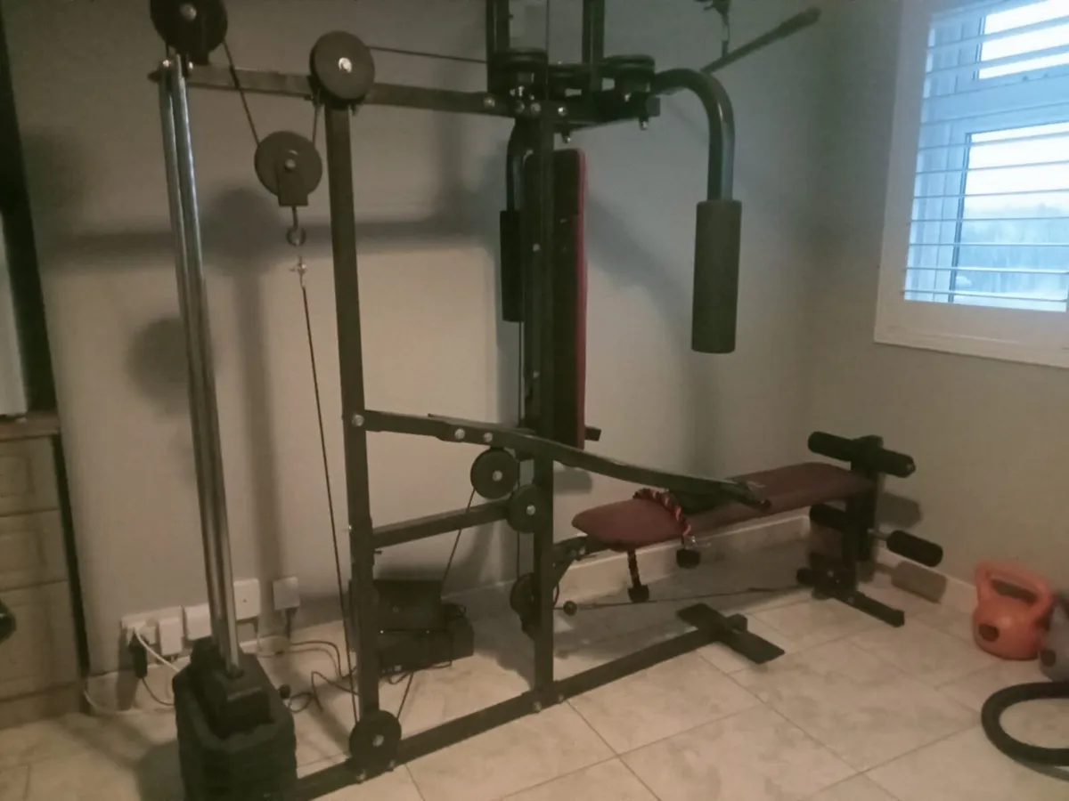 Vfit multi gym with a few extras