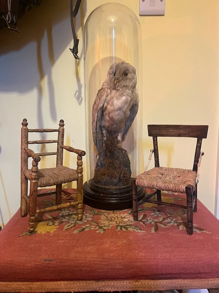 Antique Apprentice Sugan Chairs - Image 1