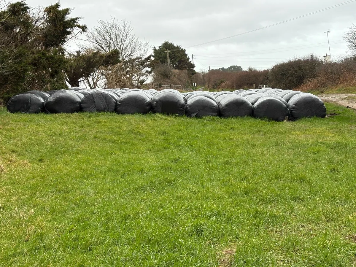Silage Bales