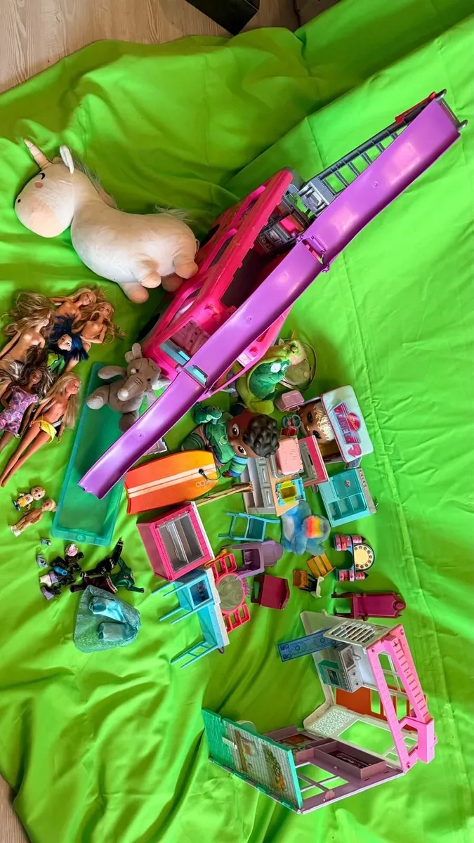 Doll and playset bundle - Image 1