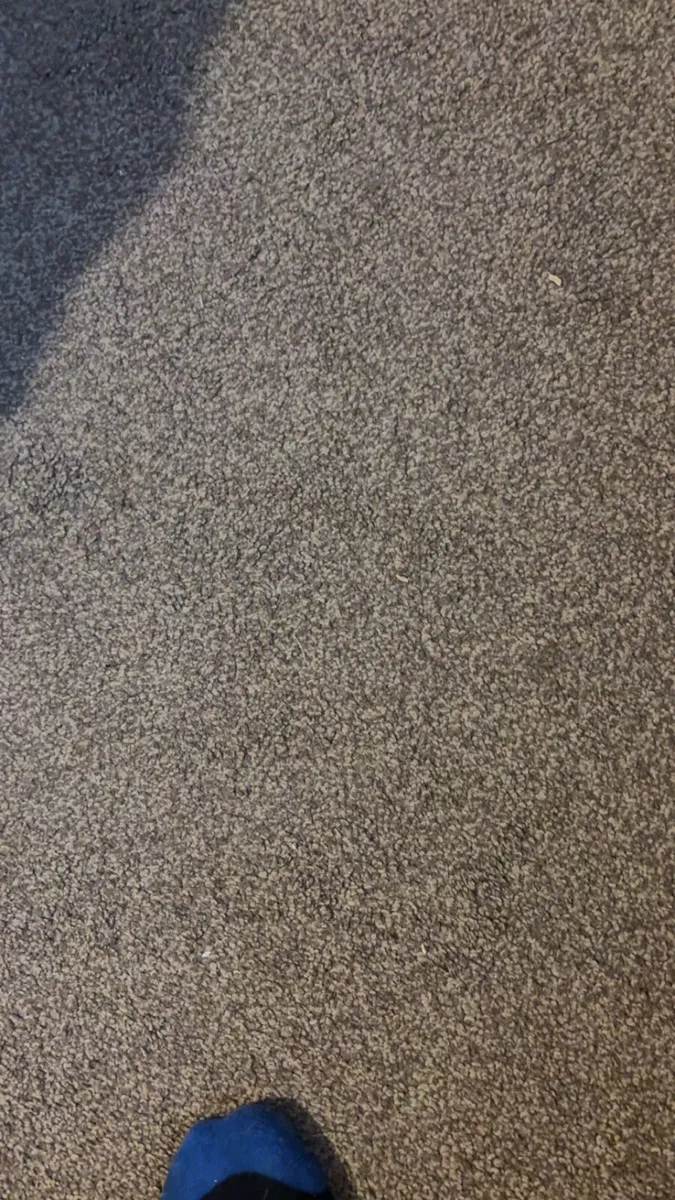 Carpet - Image 1